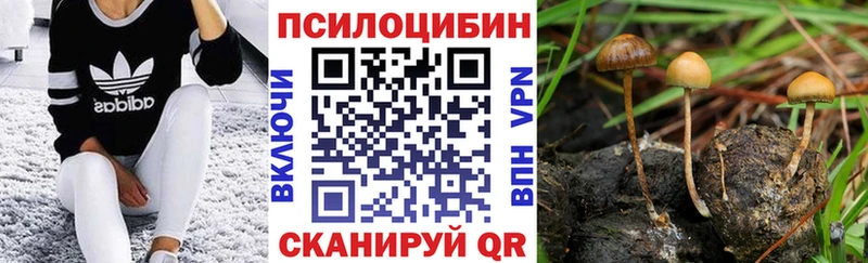 Псилоцибиновые грибы Cubensis  мега онион  Пенза 